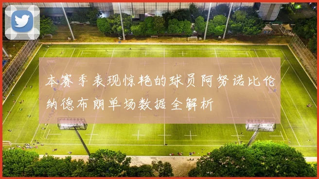 本赛季表现惊艳的球员阿努诺比伦纳德布朗单场数据全解析