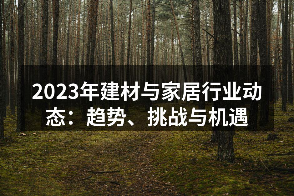 2023年建材与家居行业动态：趋势、挑战与机遇